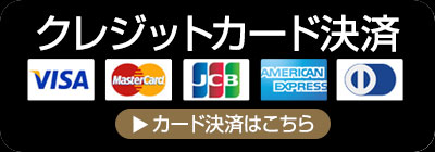 CREDIT CARD PAY